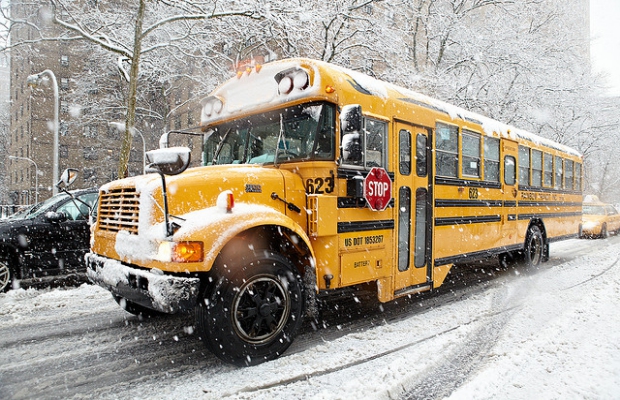 bus_1.jpg
