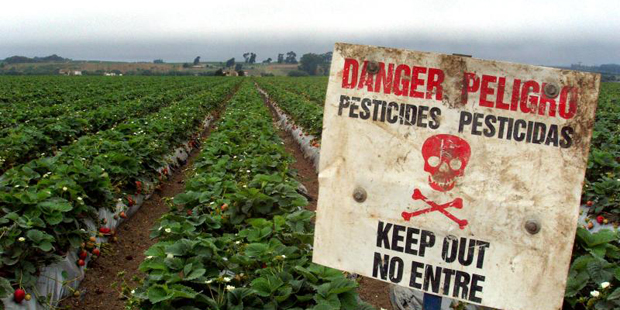 pesticidesfield-banner.jpg