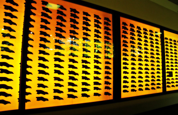 skulls.jpg